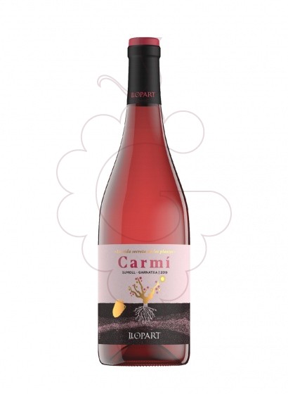 Photo Llopart Carmí La Vida Secreta de les Plantes rosé wine