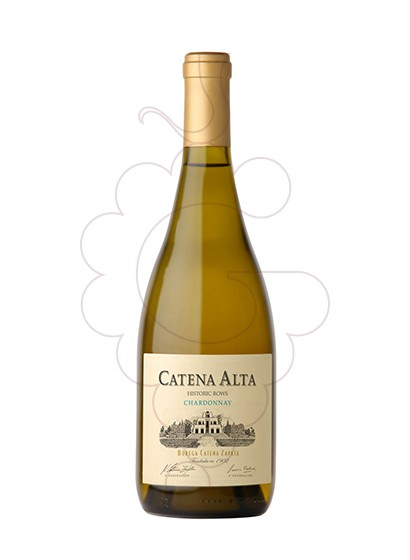 Photo Catena Alta Chardonnay  white wine