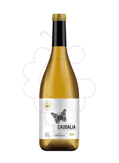 Photo Caudalia de Vallobera white wine