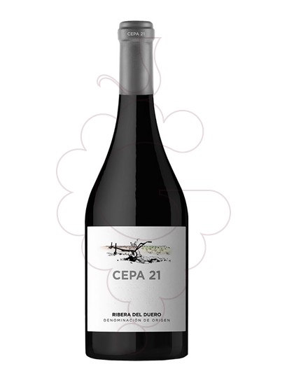Photo Cepa 21 red wine