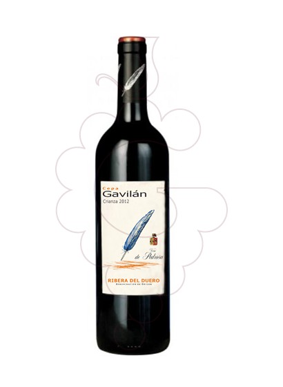 Photo Cepa Gavilan red wine