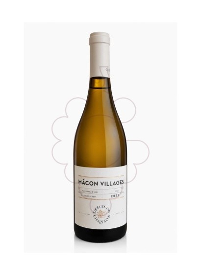 Photo Chanson Mâcon Villages white wine