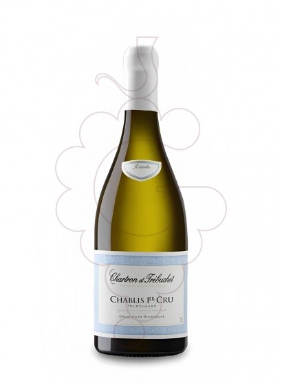 Photo Chartron et Trebuchet Chablis 1er Cru Fourchaume white wine
