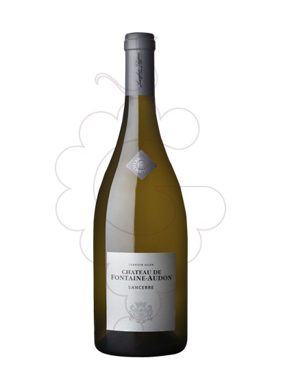 Photo Chateau Fontaine-Audon Sancerre white wine