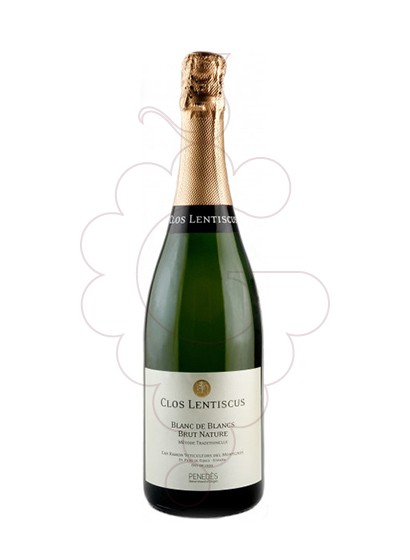 Photo Clos Lentiscus Malvasia Blanc de Blancs sparkling wine