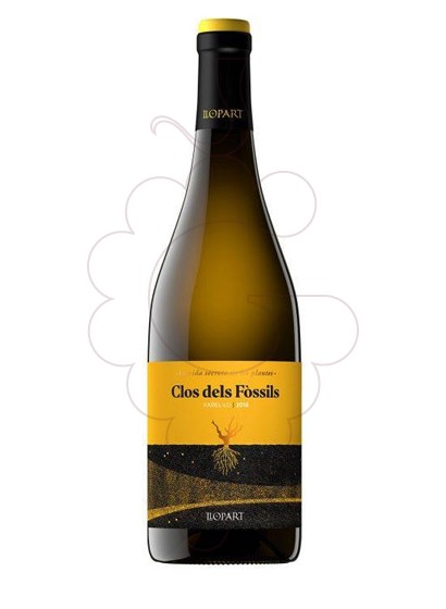 Photo Clos dels Fòssils white wine