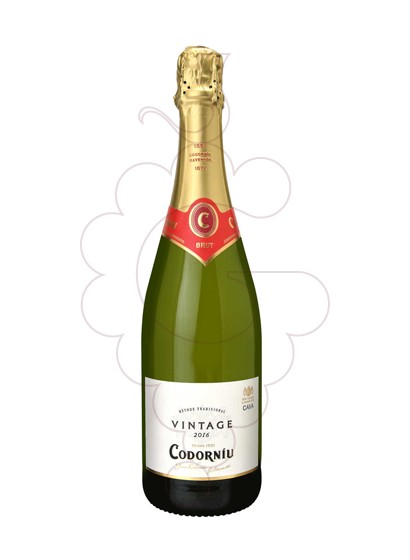 Photo Codorniu Vintage Magnum sparkling wine