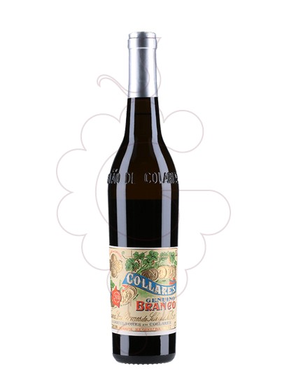 Photo Viuva Gomes Collares Genuino Branco white wine