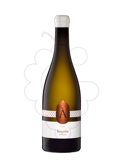 Photo White Collbaix Singular Amphora white wine