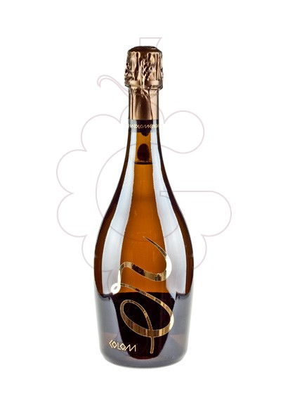 Photo Colomer ER Reserva Brut Nature sparkling wine