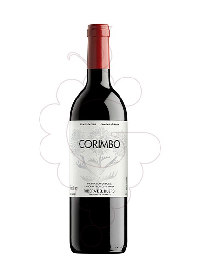Photo Corimbo red wine
