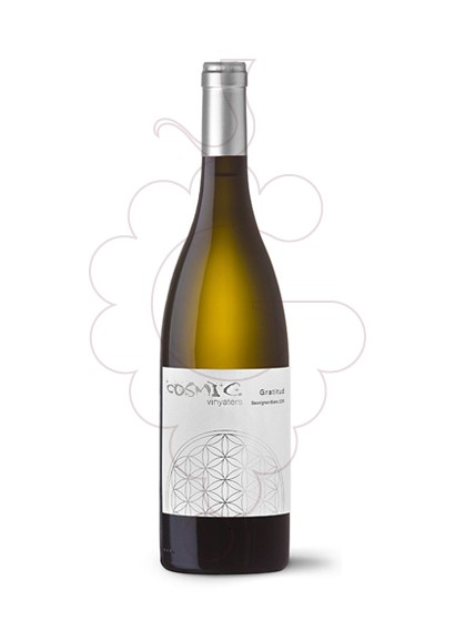 Photo Còsmic Gratitud Sauvignon Blanc white wine