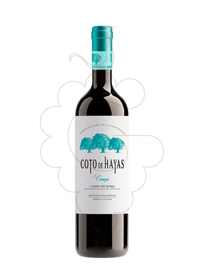 Photo Coto de Hayas Crianza red wine