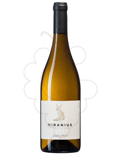 Photo Credo Miranius white wine