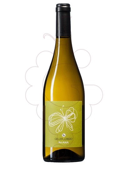 Photo Credo Volaina white wine