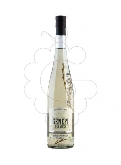 Photo Licor C.rocher genepi alpes g.rubren