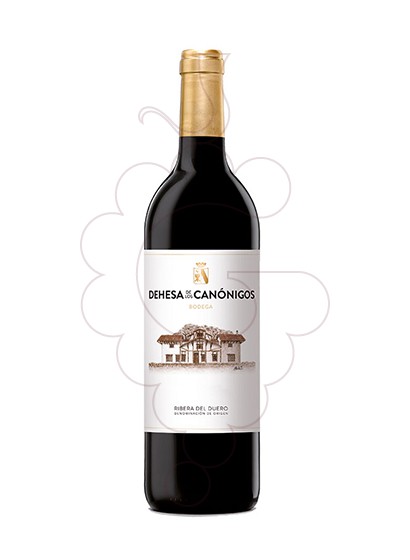 Photo Dehesa Canónigos Crianza red wine