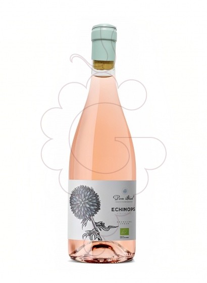 Photo Echinops Dom Brial Rose rosé wine