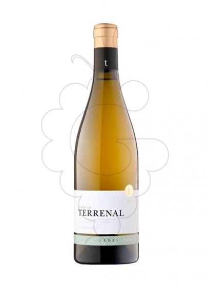 Photo Edetaria finca terrenal bl 20 white wine