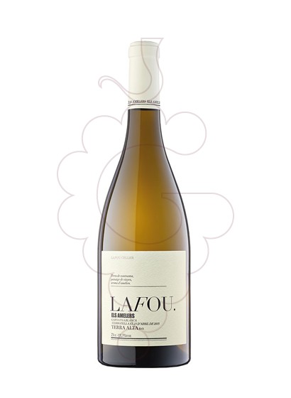 Photo Els Amelers Lafou Magnum white wine
