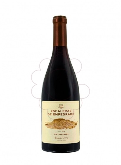 Photo Escaleras de empedrado (xile) red wine