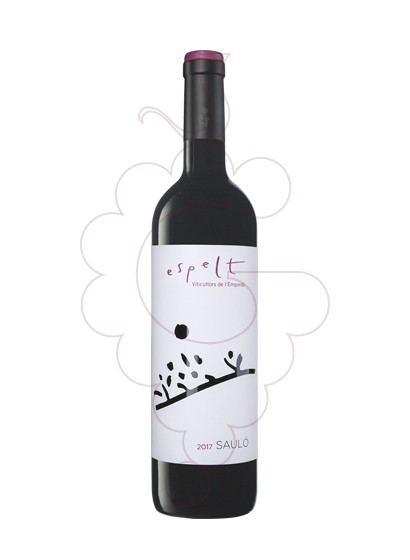 Photo Espelt Saulo Magnum red wine