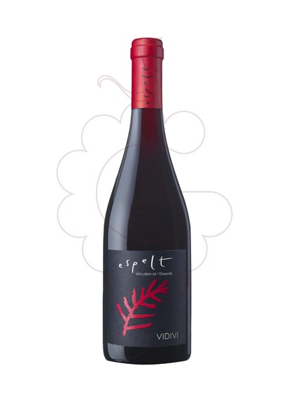 Photo Espelt Vidivi Magnum red wine