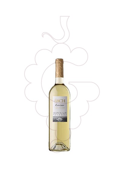 Photo Sweet White Bach (mini) white wine