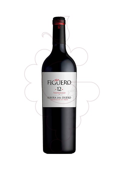 Photo Figuero 12 Meses Crianza Magnum red wine