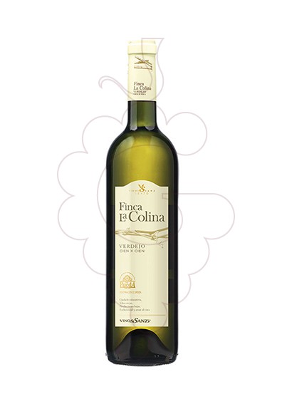 Photo Finca la Colina Verdejo Magnum white wine