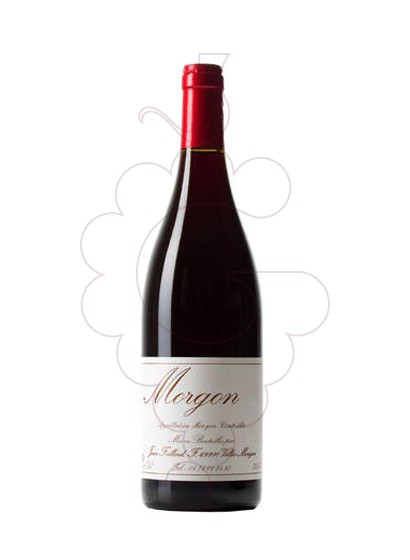 Photo Foillard Morgon Classique red wine