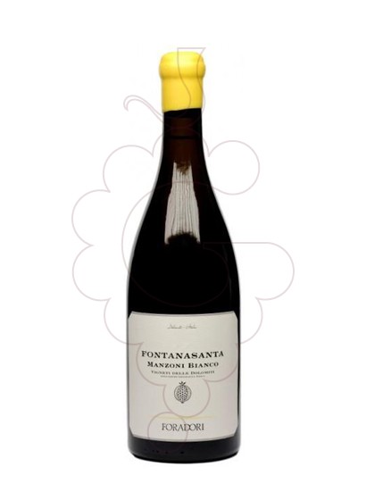 Photo Foradori Fontanasanta Manzoni white wine