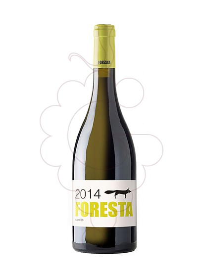 Photo Foresta Xarel·lo white wine
