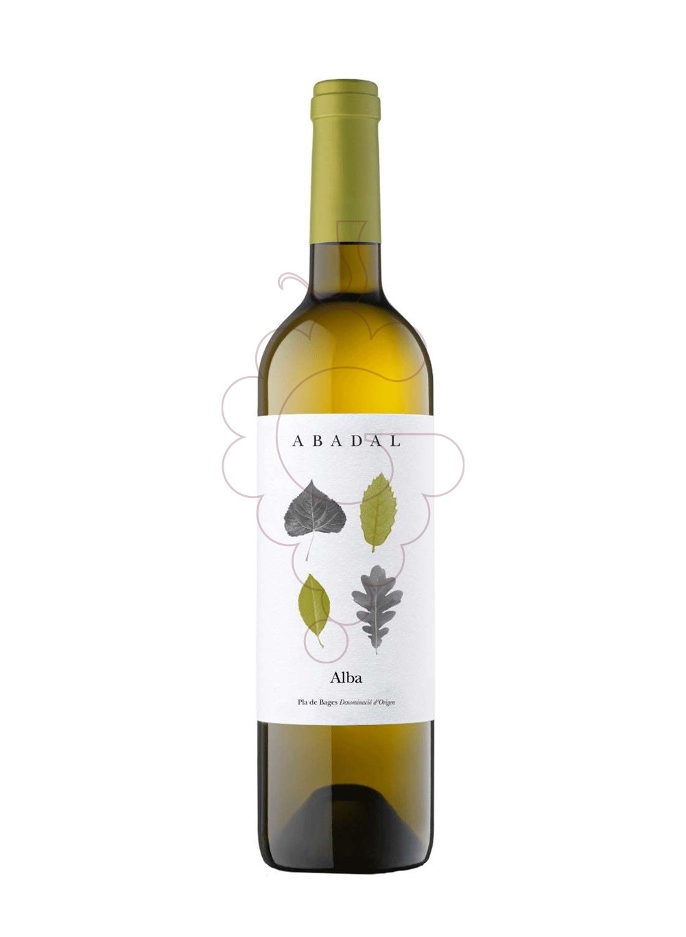 Photo Abadal Blanc white wine