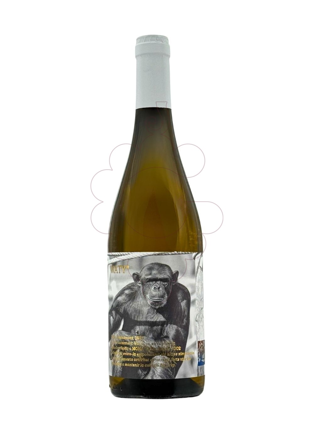 Photo Àfrica White Mono white wine