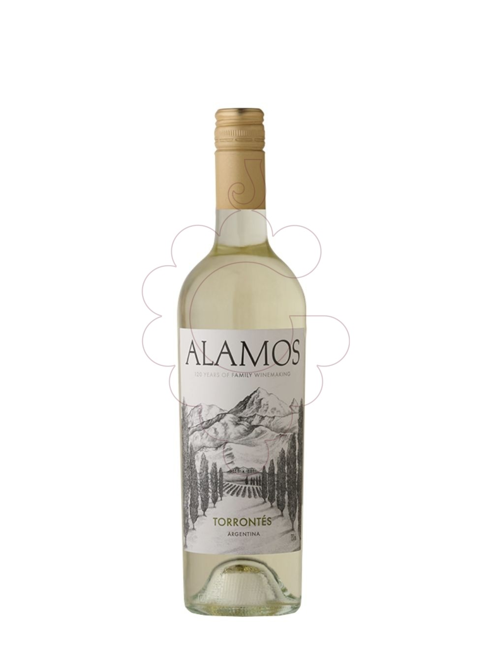 Photo Alamos Torrontés white wine