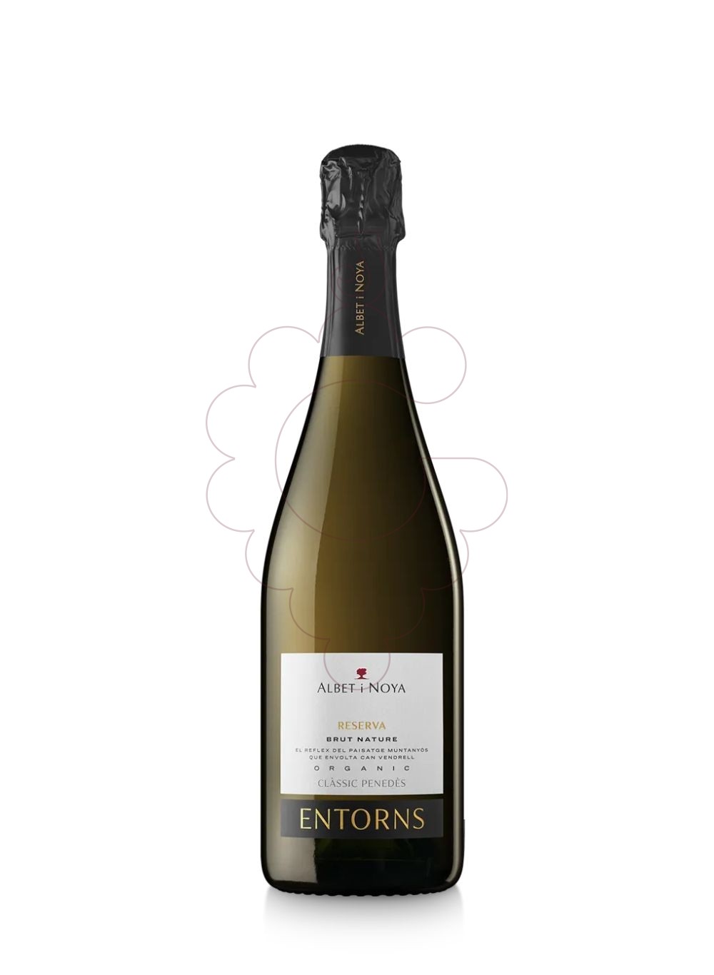 Photo Albet i noya entorns b.n organ sparkling wine