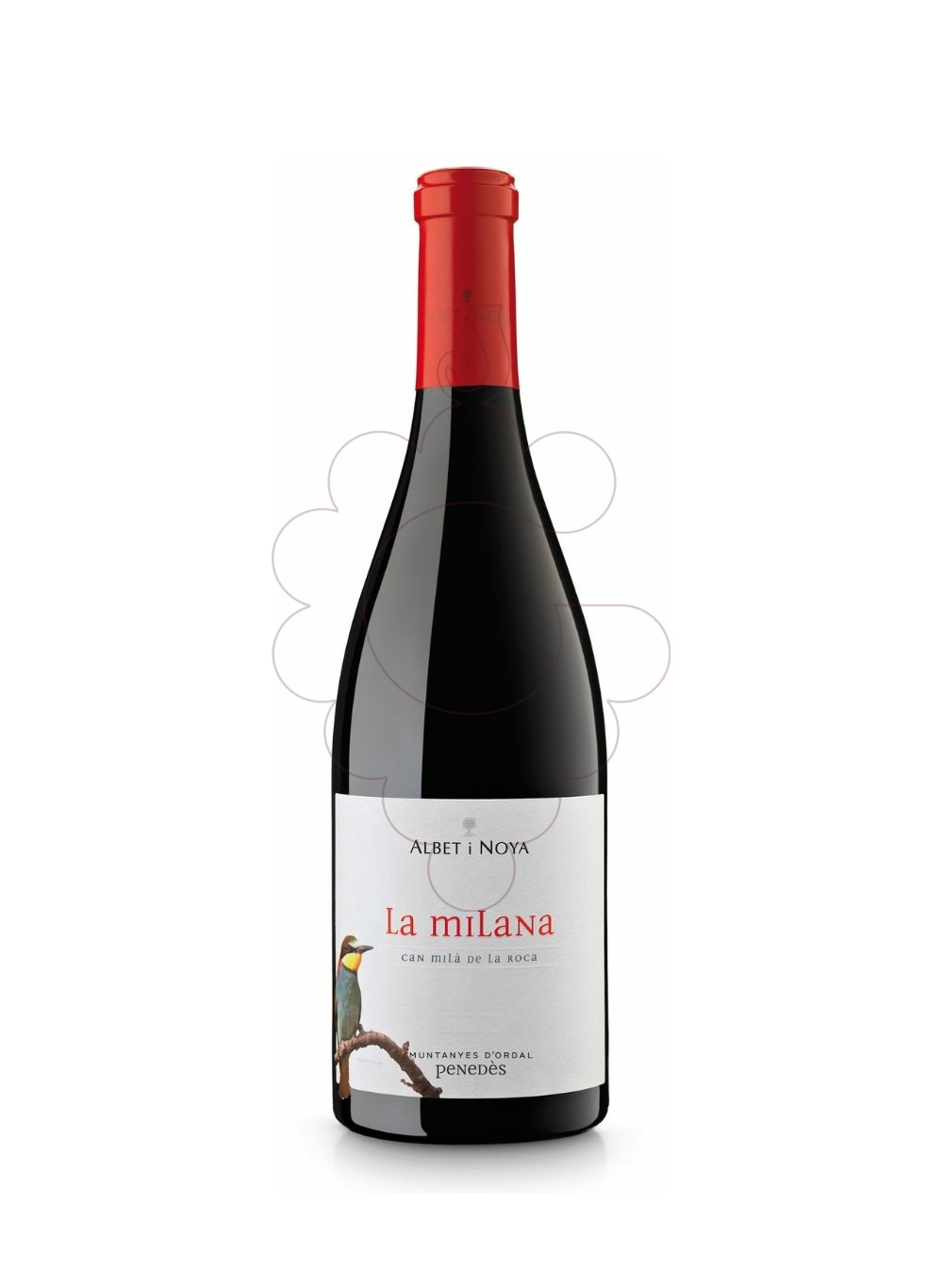 Photo Albet i Noya La Milana red wine
