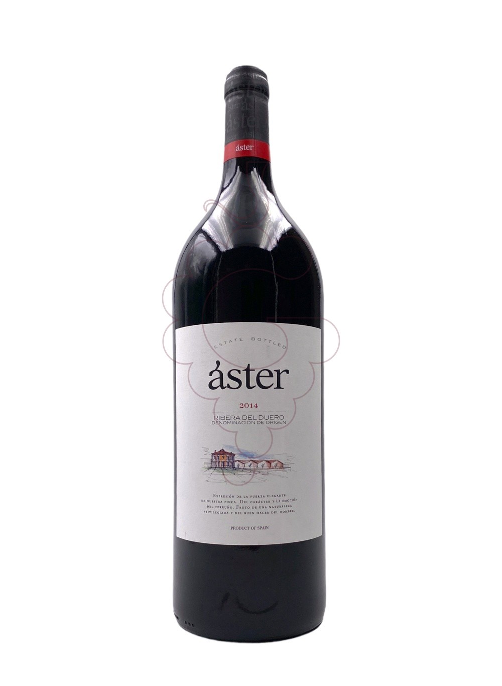 Photo Aster Crianza Magnum red wine