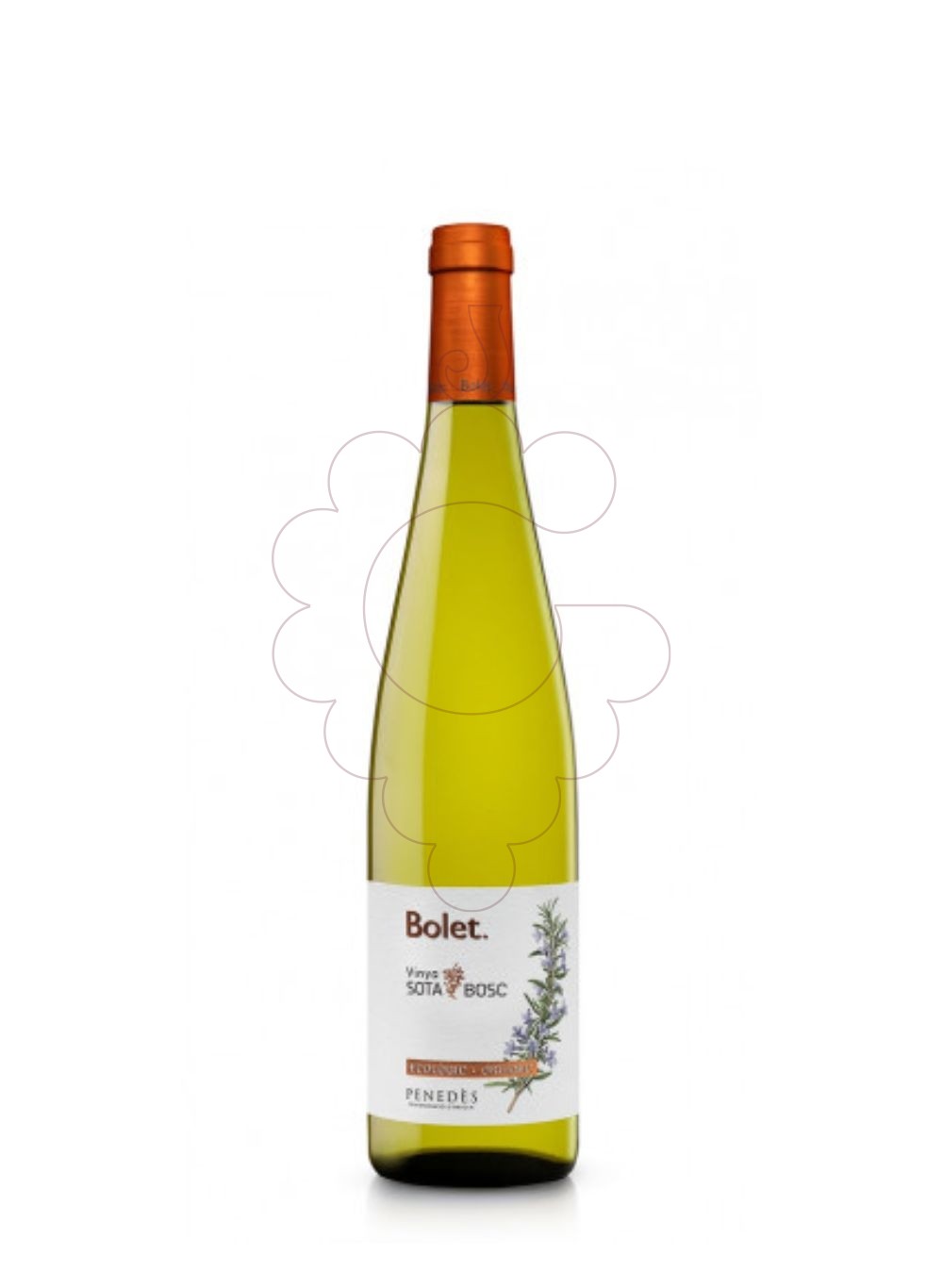 Photo Bolet Vinya Sota el Bosc Ecològic white wine