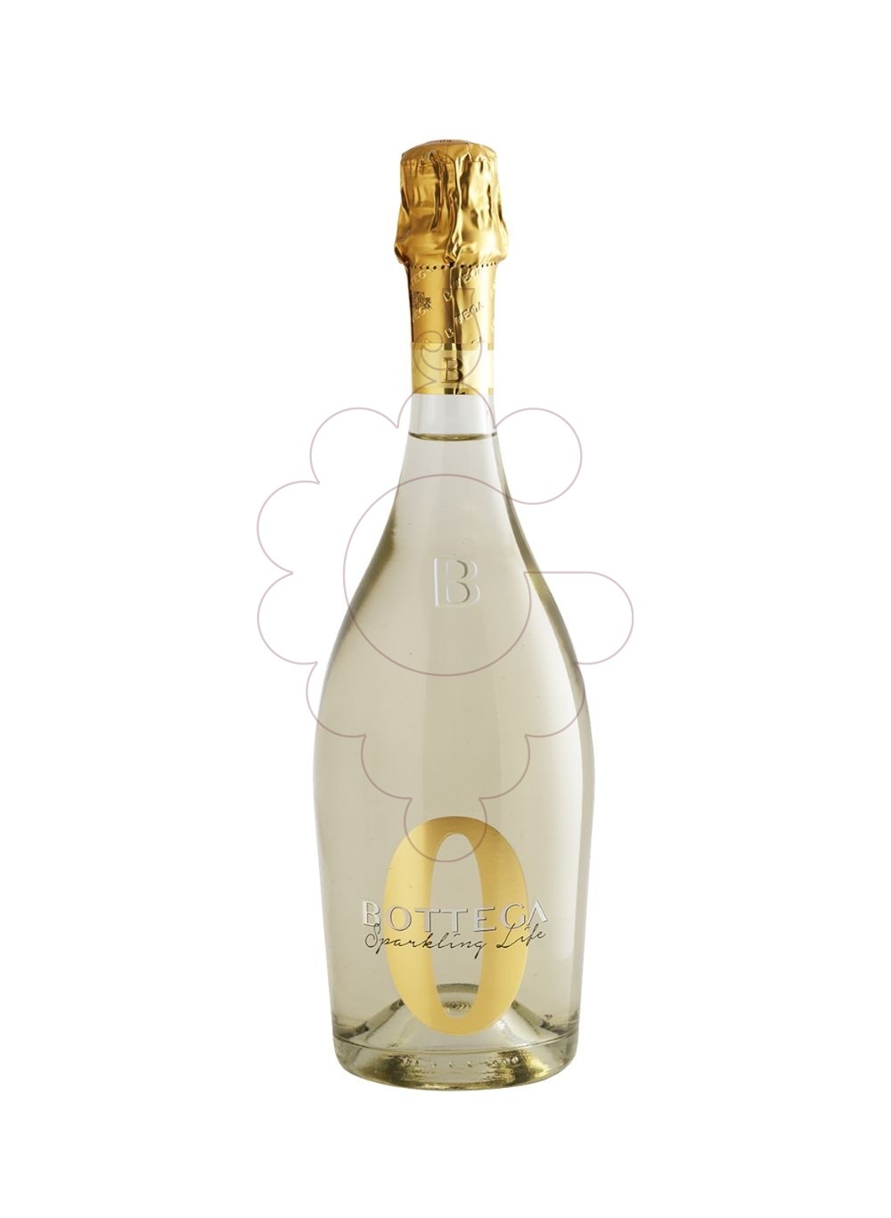 Photo Non-alcoholic wine Bottega sparkling 0% White