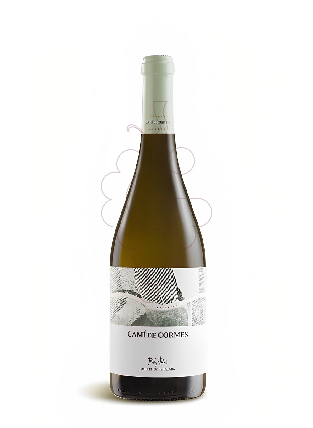 Photo Cami de cormes blanc 2022 white wine