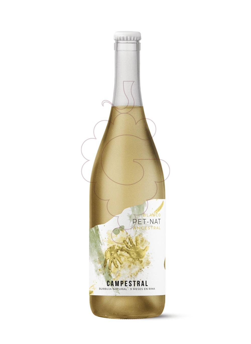 Photo White Campestral Pet-Nat sparkling wine