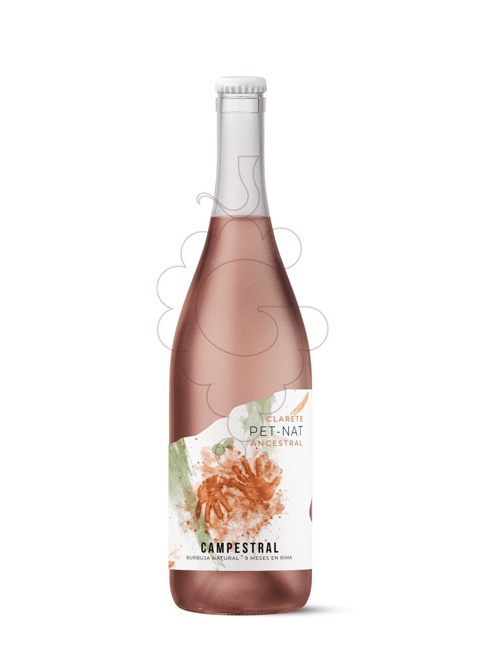 Photo Rosé Campestral Pet-Nat sparkling wine