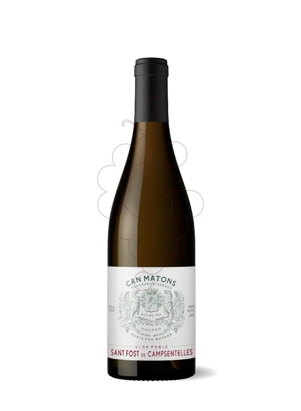 Photo Can Matons Sant Fost de Campsentelles white wine