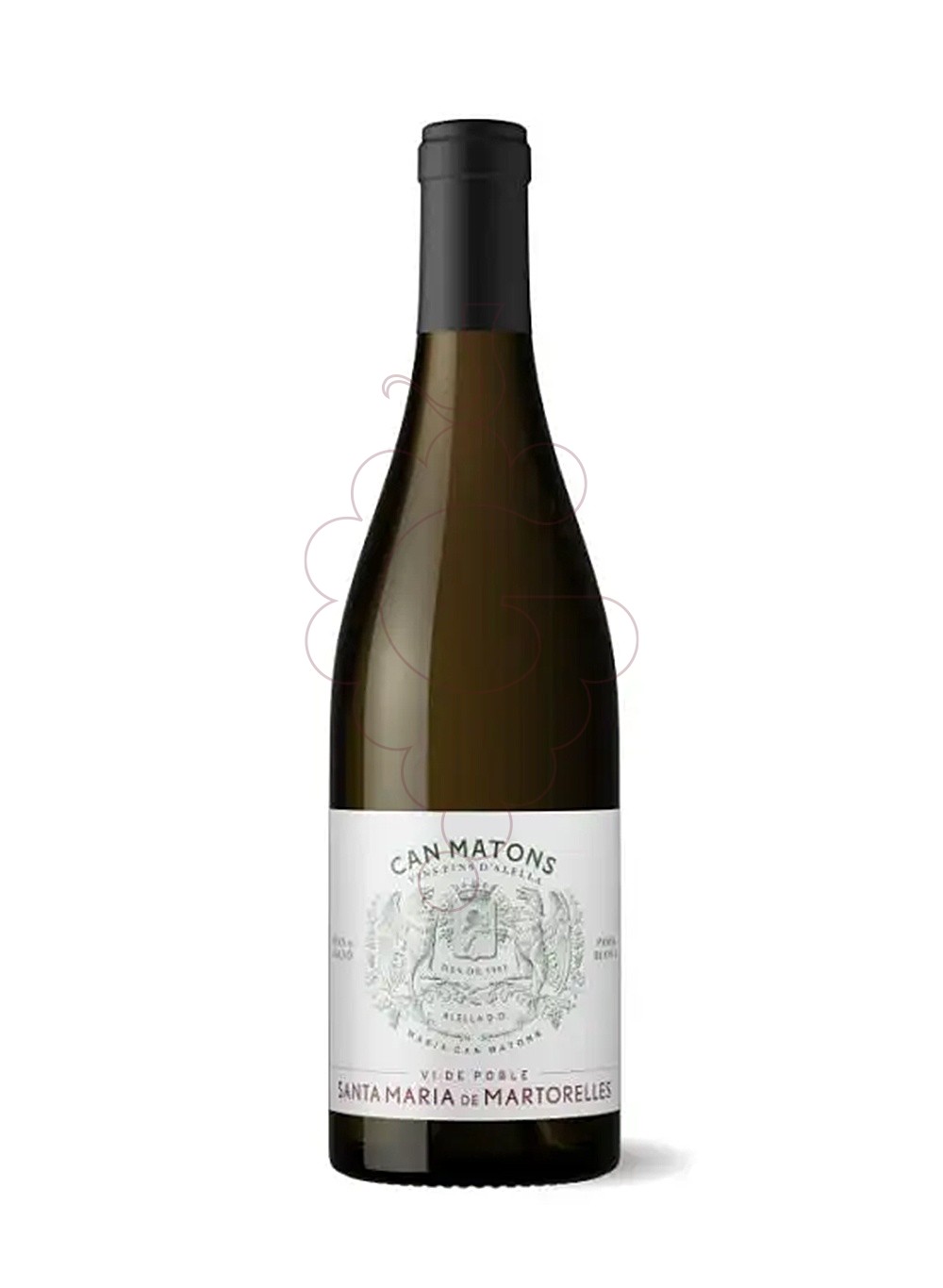 Photo Can Matons Santa Maria de Martorelles white wine