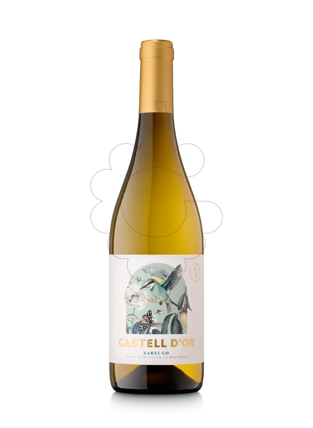 Photo Castell d'Or Blanc Xarel.lo white wine
