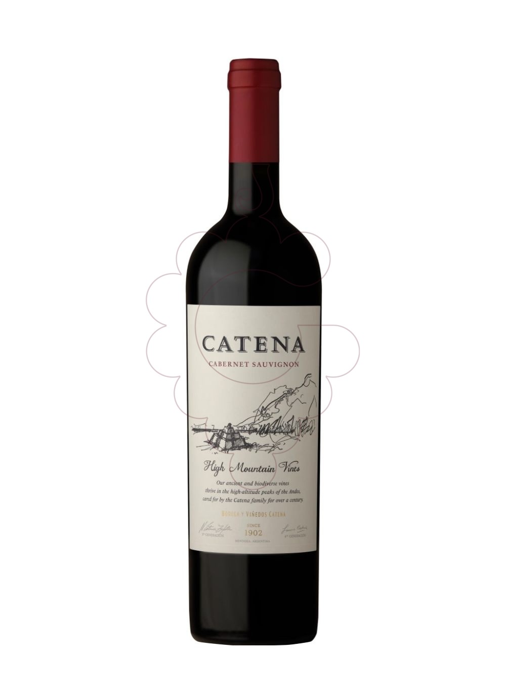 Photo Catena Cabernet Sauvignon red wine