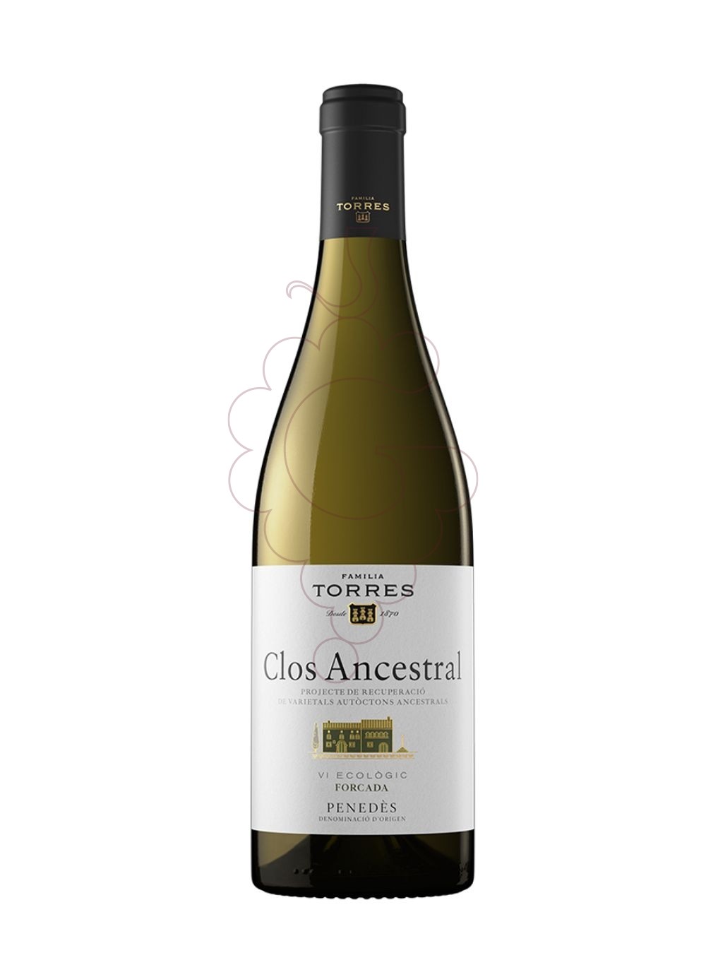 Photo White Clos Ancestral white wine