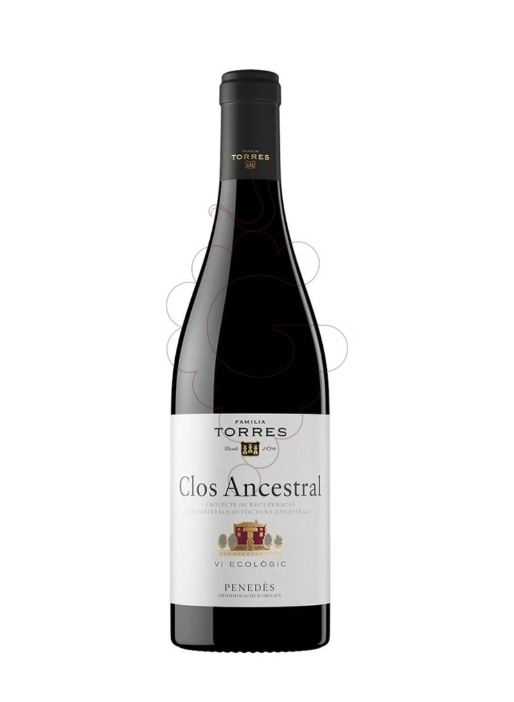 Photo Red Clos Ancestral red wine